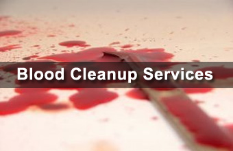 On call Bio Kentucky | Homicide and Blood Cleanup